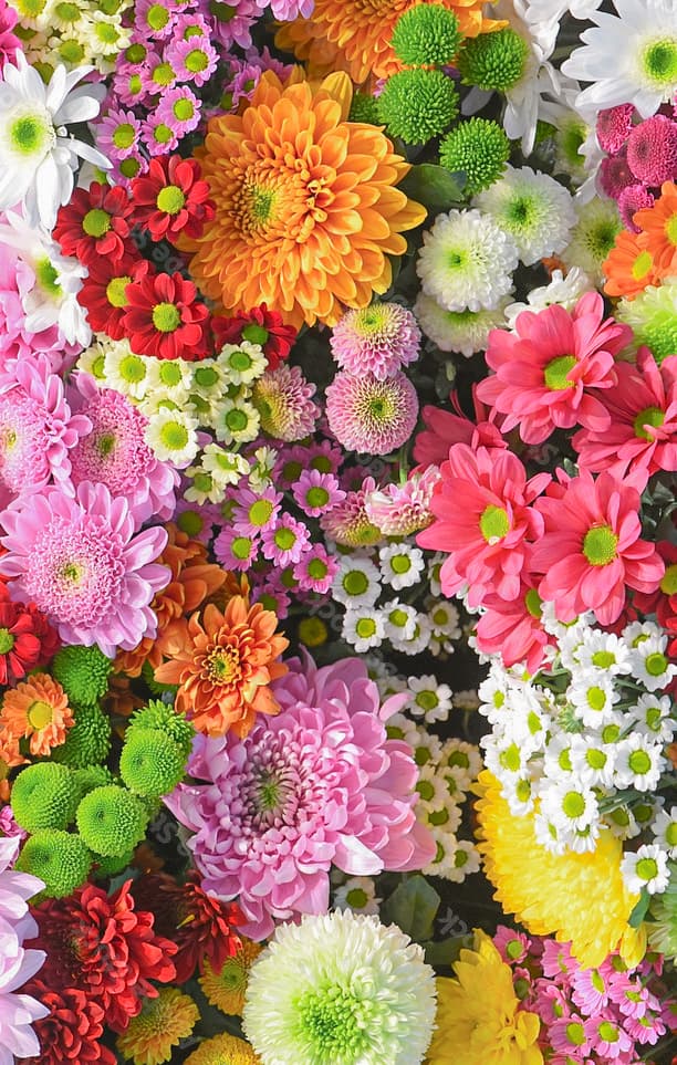 中国語 (北京語・広東語)・英語でのカウンセリング