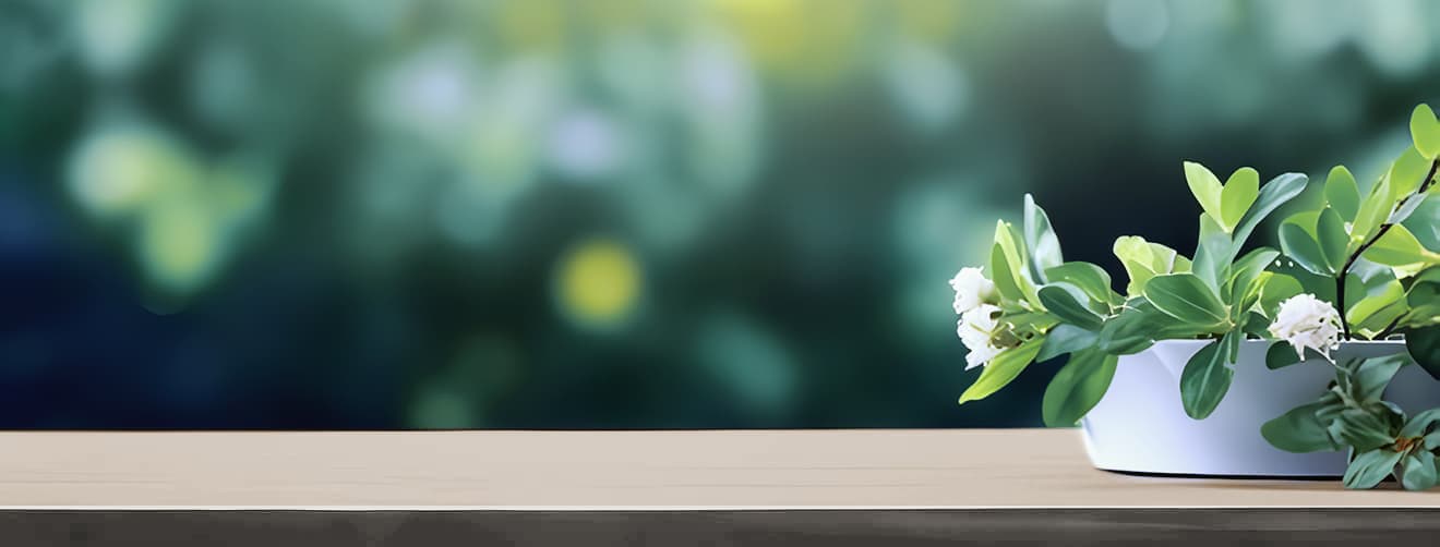 わたしたちについて