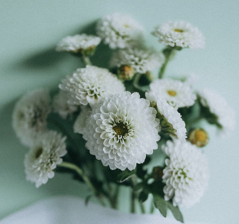 はじめての方へ